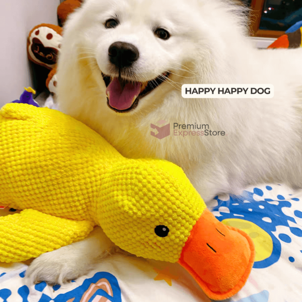 Relaxing Duck