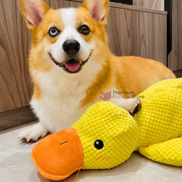 Relaxing Duck