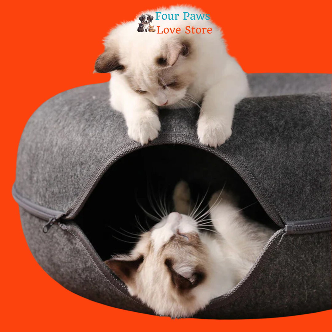 Fun Donut Bed For Cats