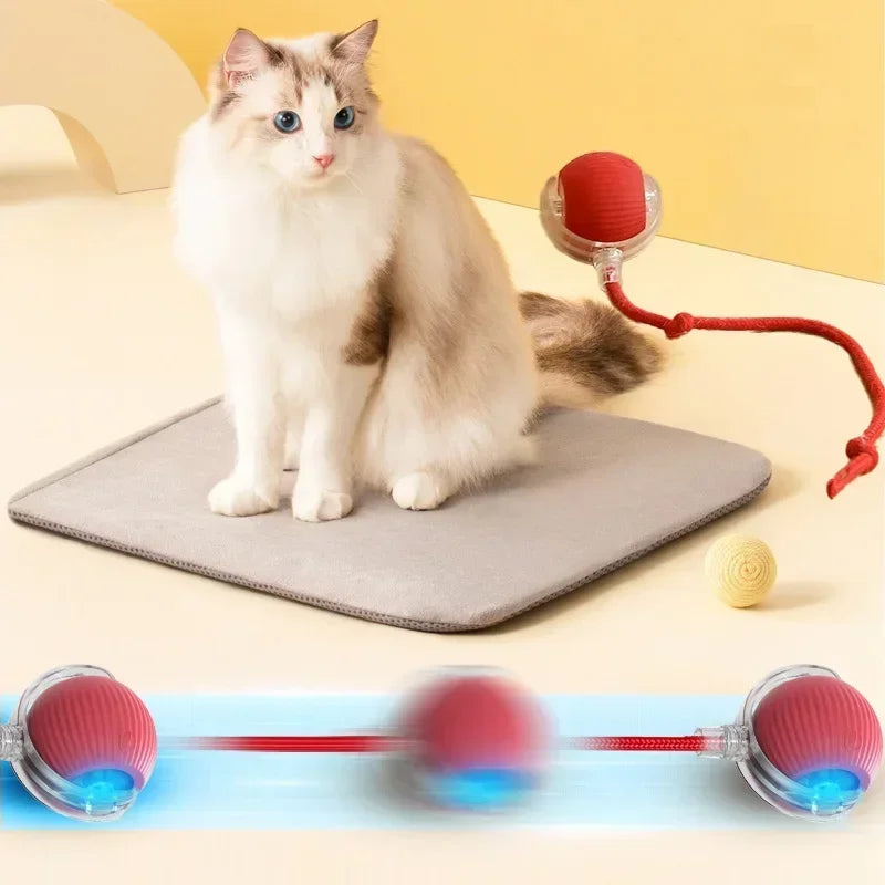 Interactive Cat Toys Ball
