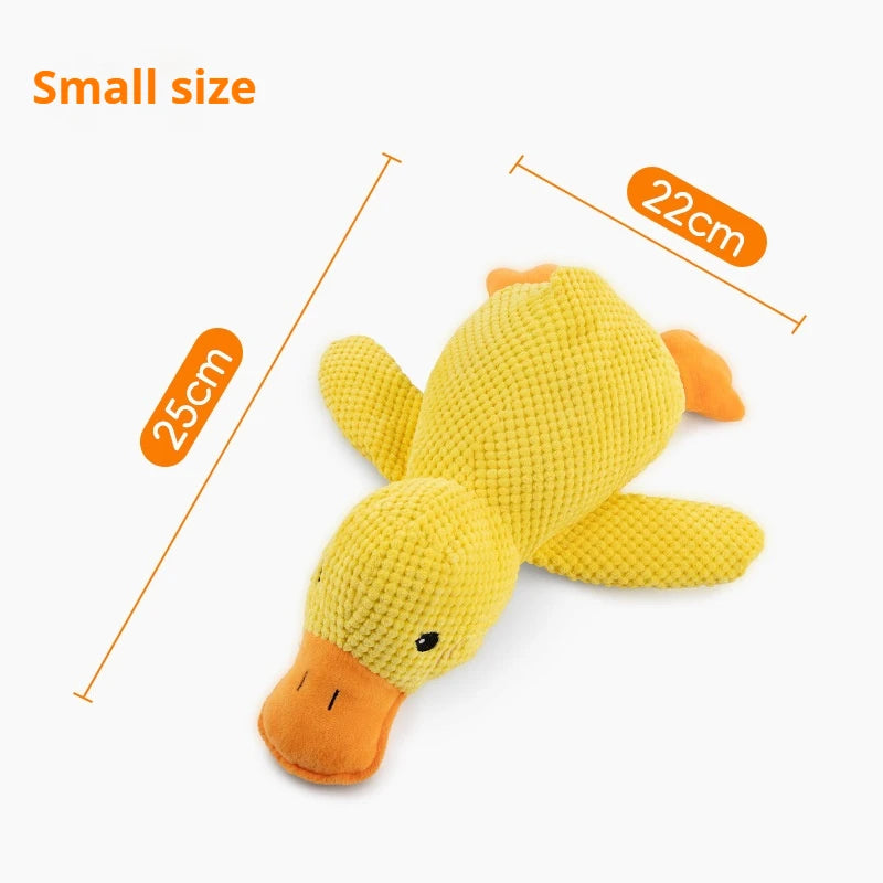 Relaxing Duck