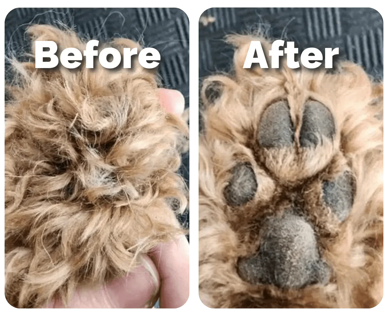 PawEase™ Paw Trimmer