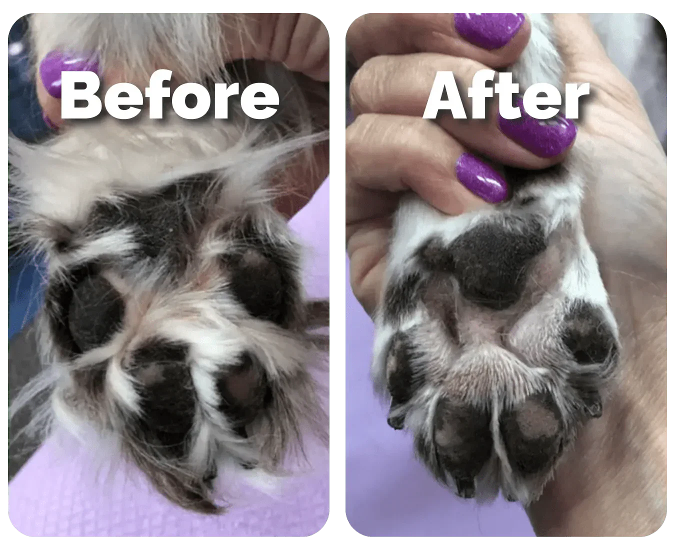 PawEase™ Paw Trimmer