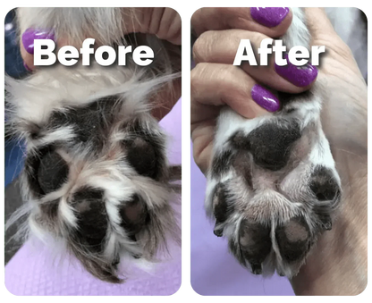 PawEase™ Paw Trimmer