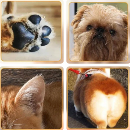PawEase™ Paw Trimmer