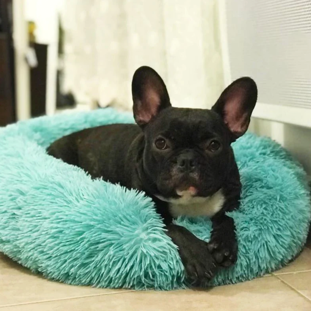 Round pet donut bed