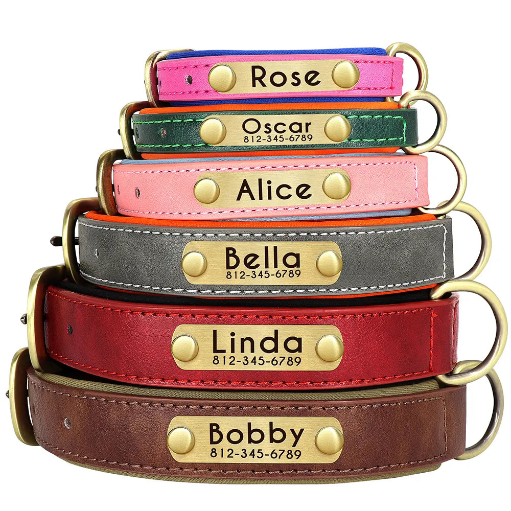 Set of personalized leather dog collars: Luxe Paws Edition