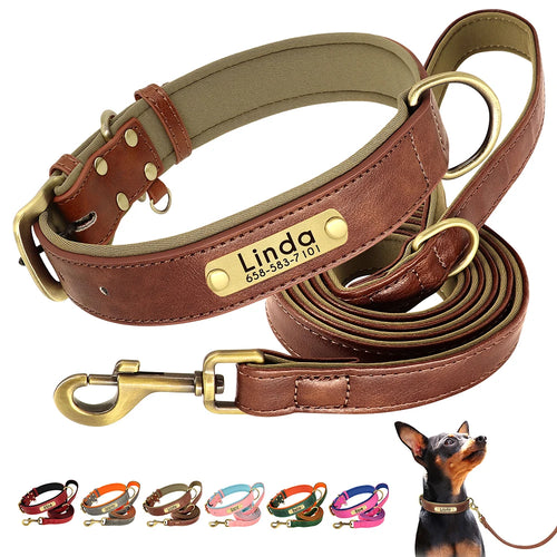Set of personalized leather dog collars: Luxe Paws Edition