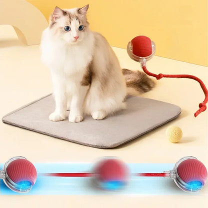 Interactive Cat Toys Ball