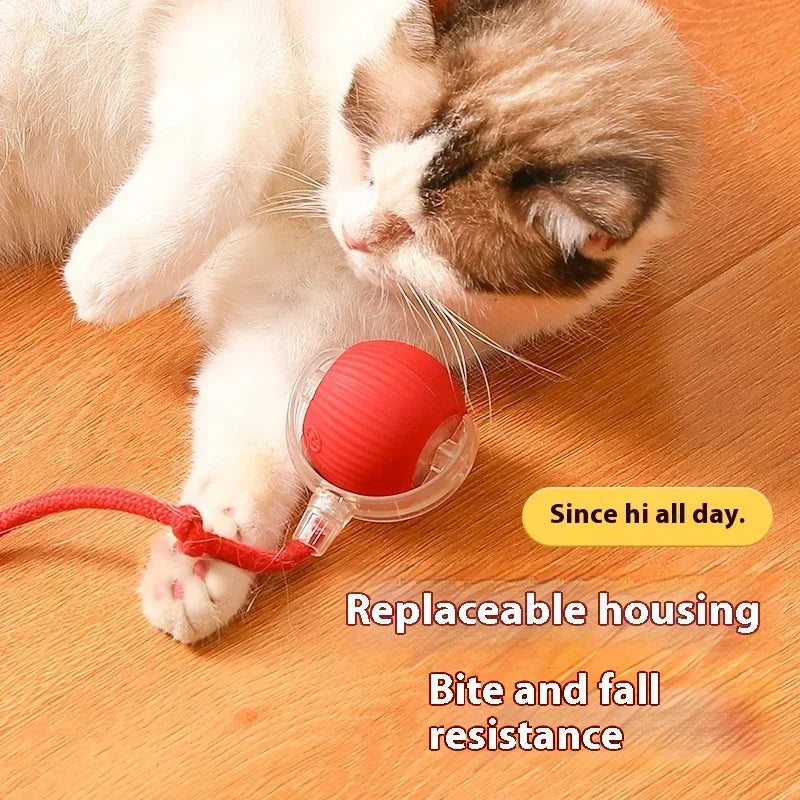Interactive Cat Toys Ball