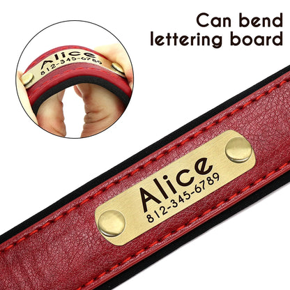 Set of personalized leather dog collars: Luxe Paws Edition