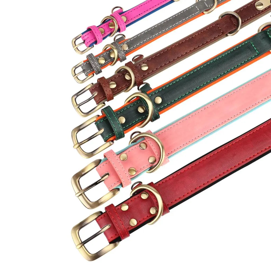 Set of personalized leather dog collars: Luxe Paws Edition