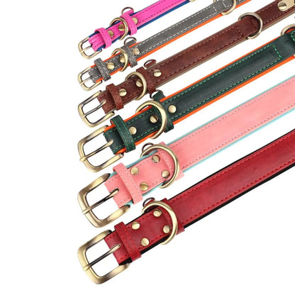 Set of personalized leather dog collars: Luxe Paws Edition