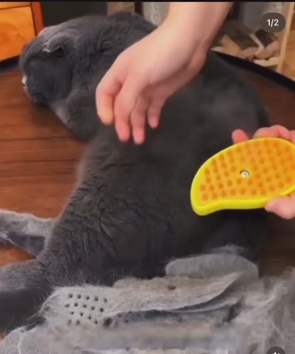 Steam brush for removing hair from Clean-pets